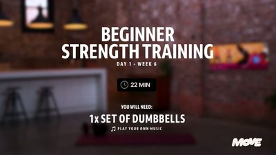 Beginner - Day 1 Week 6