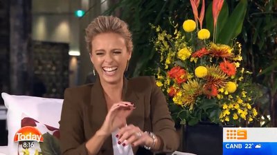 Sylvia Jeffreys on the 'flap' over her Logies dress.